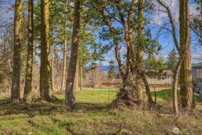 10 NKA Wilson Street , Port Townsend, WA 98368 - Photo 2