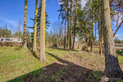 10 NKA Wilson Street , Port Townsend, WA 98368 - Photo 6