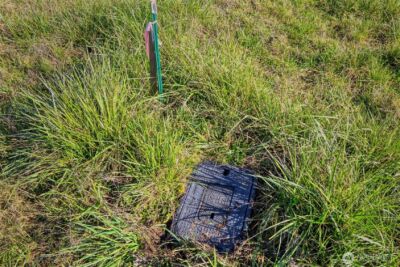 10 NKA Wilson Street , Port Townsend, WA 98368 - Photo 10