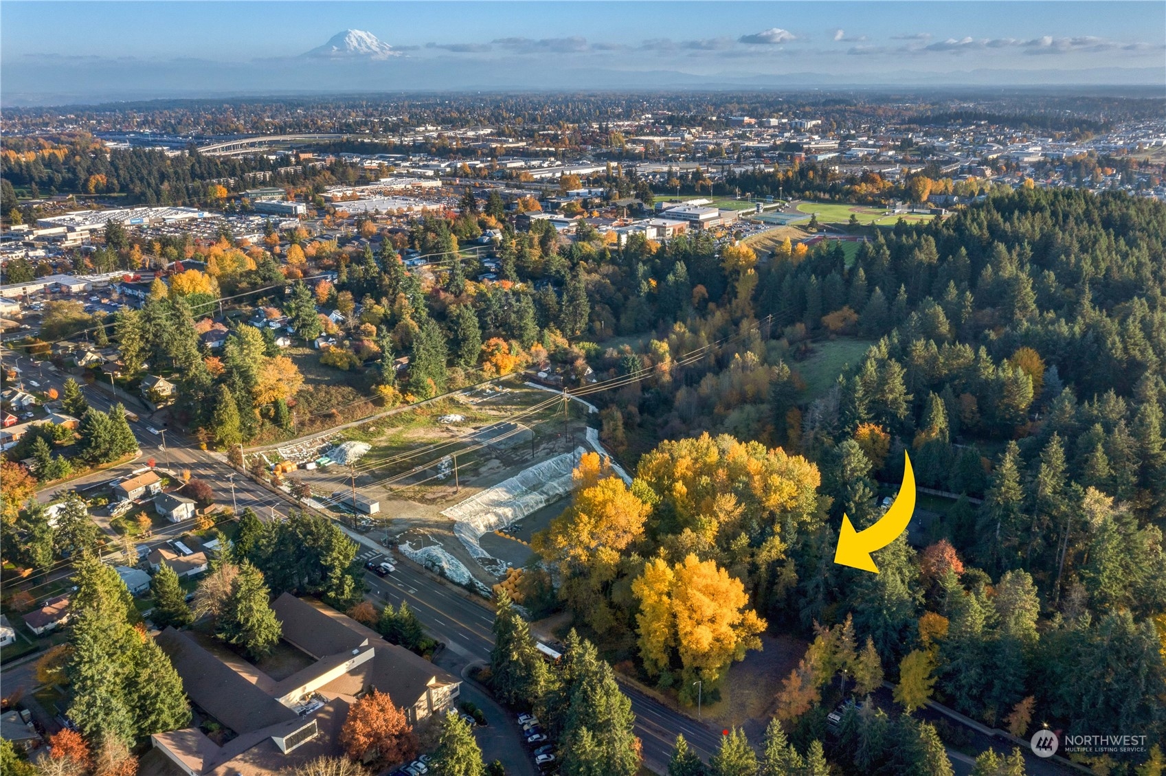 4020 S 19th Street , Tacoma, WA 98405