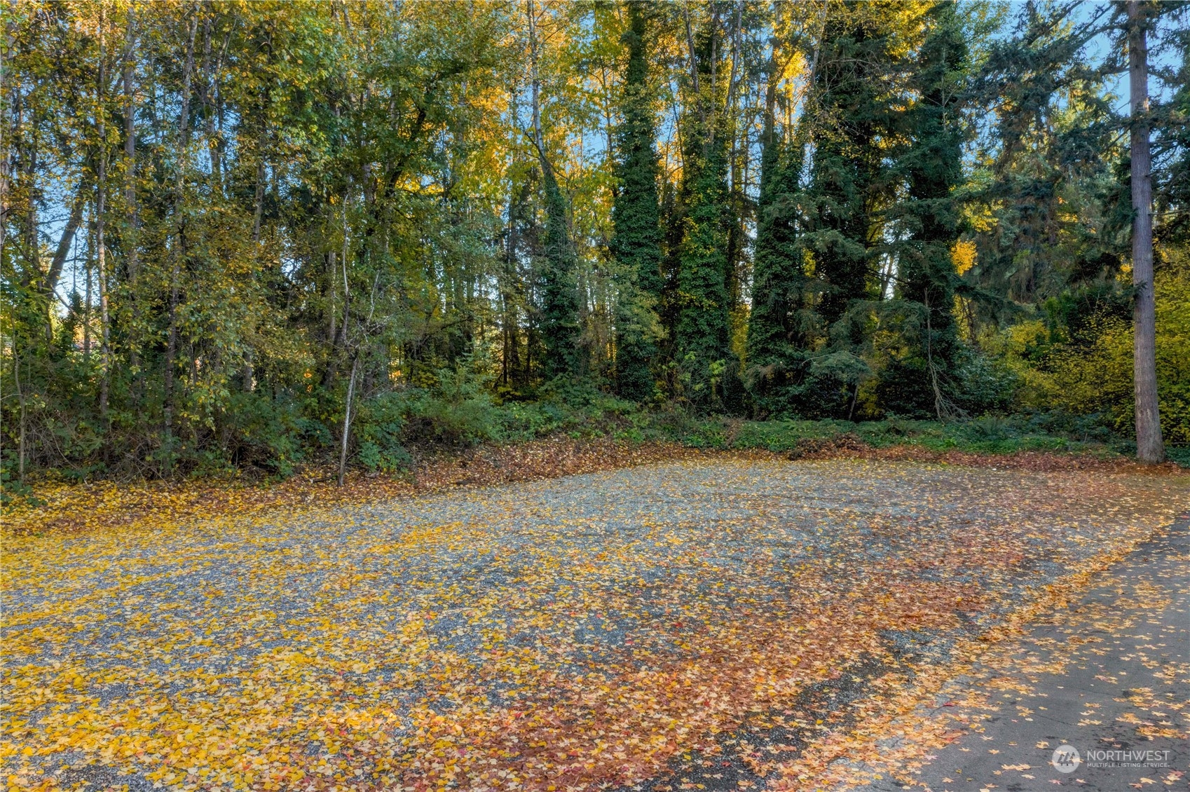 4020 S 19th Street , Tacoma, WA 98405