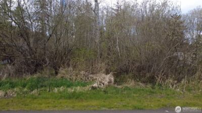 812 Thomas Street , Aberdeen, WA 98520 - Photo 4