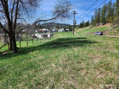 201 Tiger Lane , Republic, WA 99166 - Photo 3