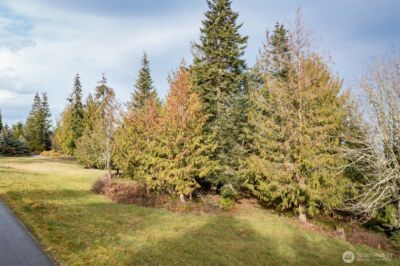 0 Elk Pass Road , Sequim, WA 98382 - Photo 18