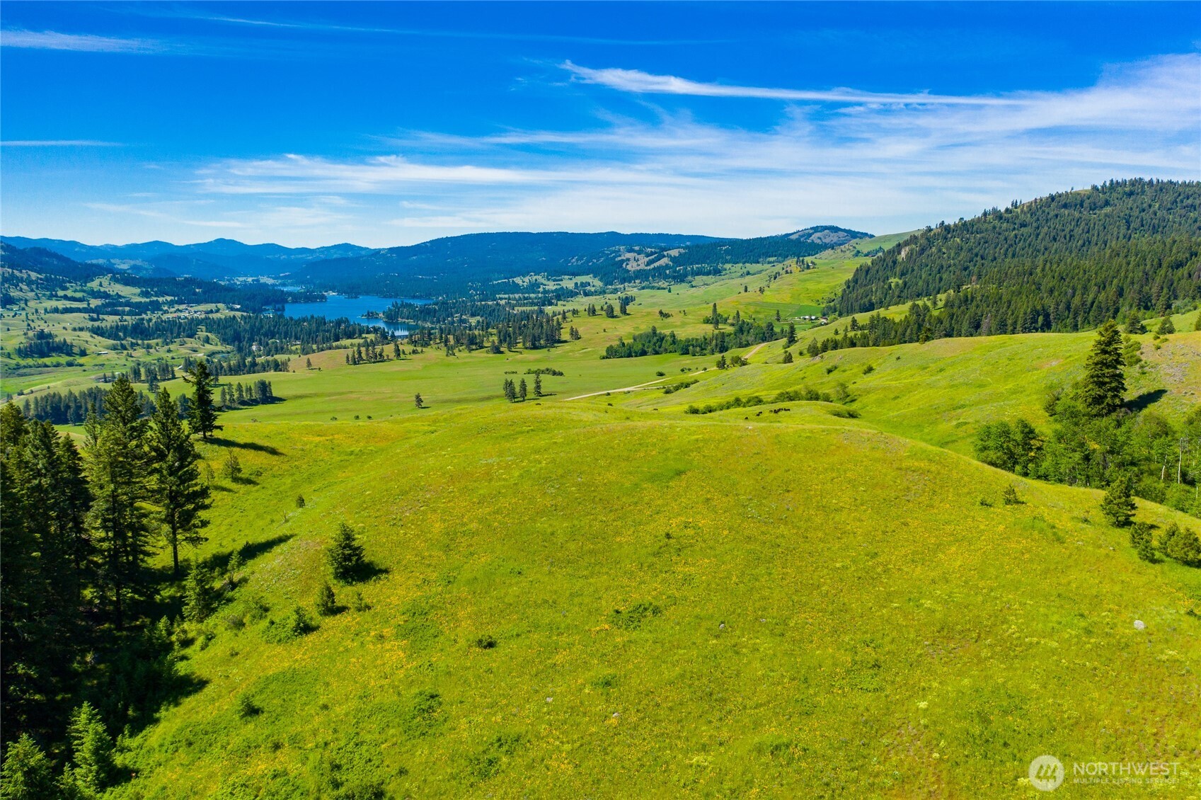 0 TBD Cromwell Road , Republic, WA 99166