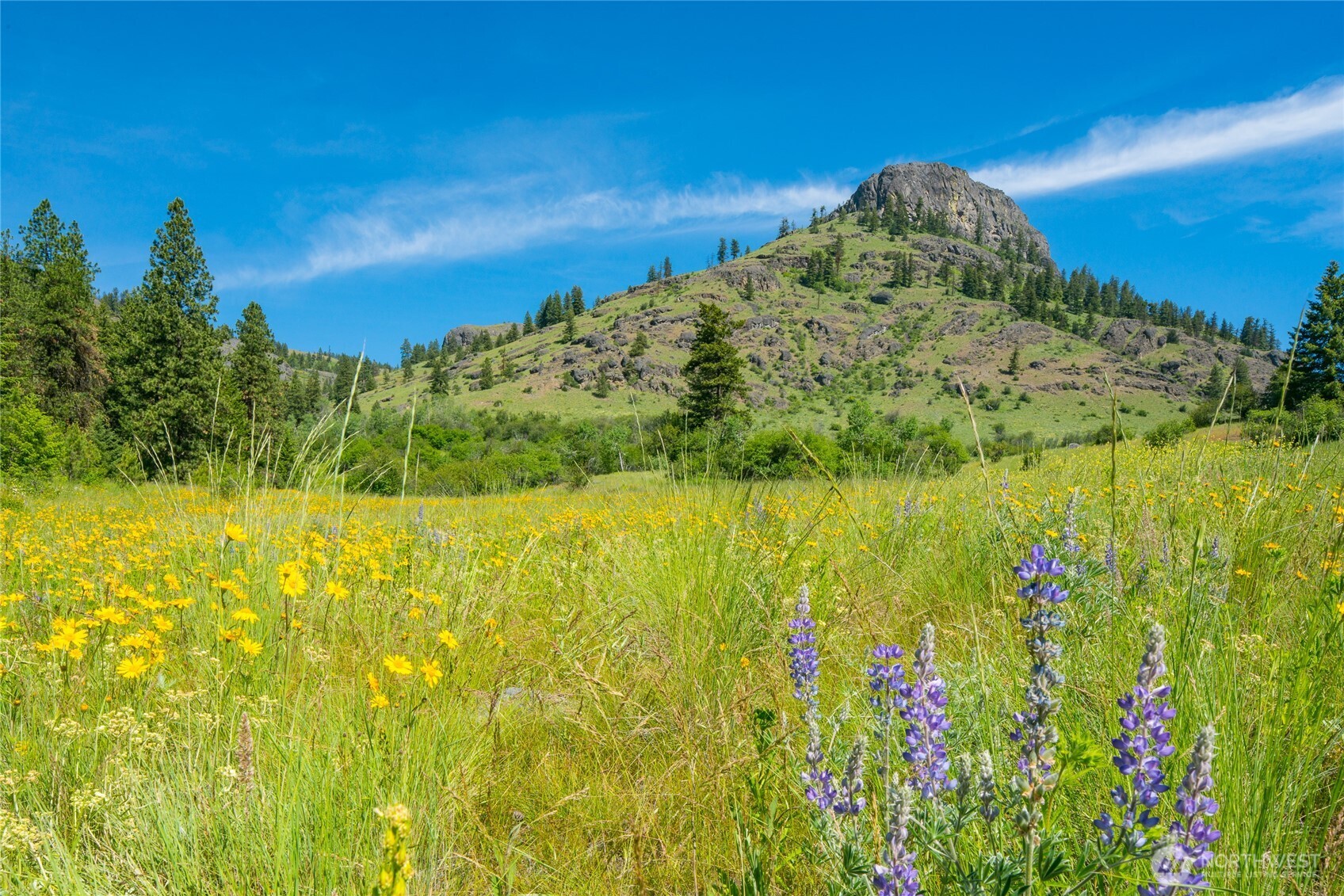 0 TBD Cromwell Road , Republic, WA 99166