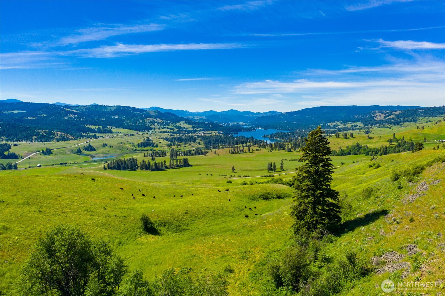 0 TBD Cromwell Road , Republic, WA 99166