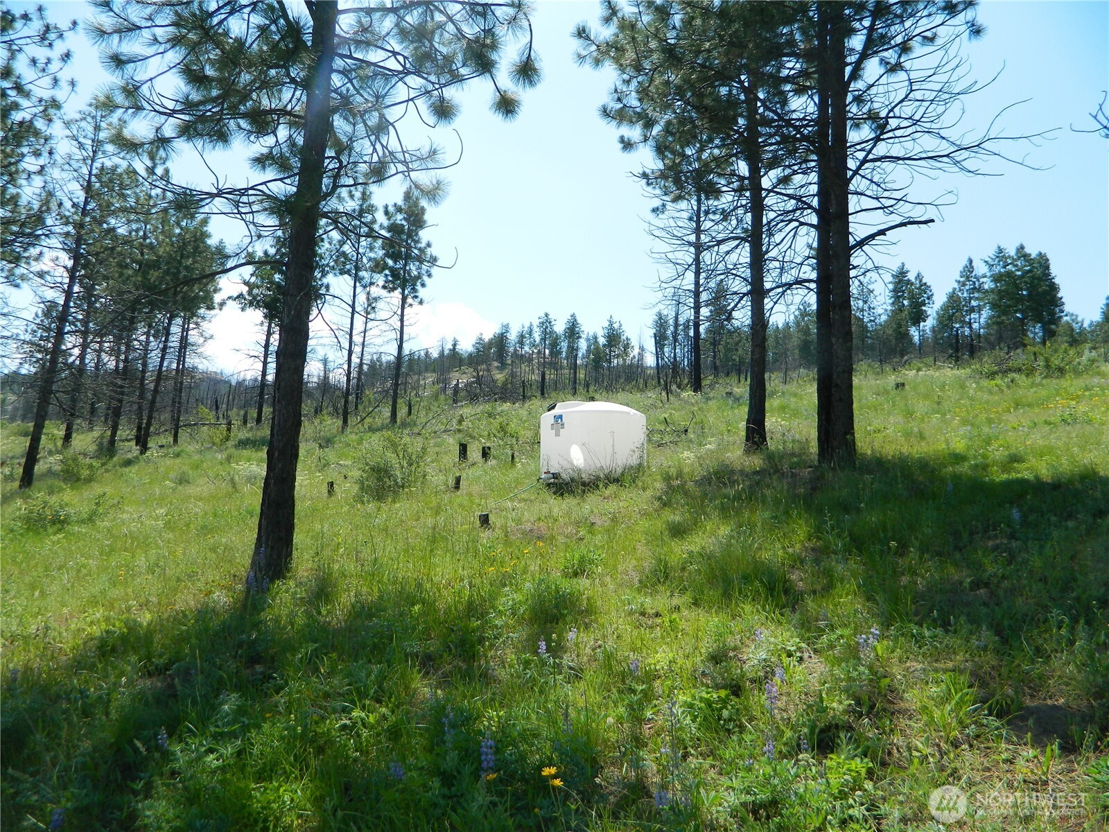 428 Five Mile Road , Tonasket, WA 98855