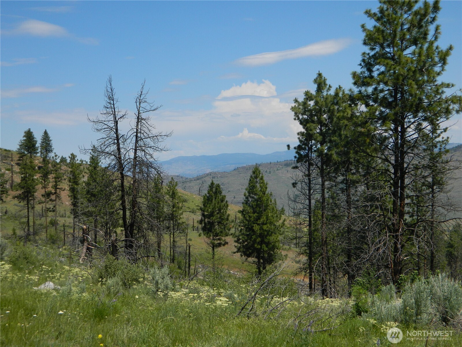 428 Five Mile Road , Tonasket, WA 98855