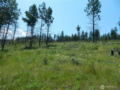 428 Five Mile Road , Tonasket, WA 98855 - Photo 3