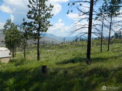 428 Five Mile Road , Tonasket, WA 98855 - Photo 4