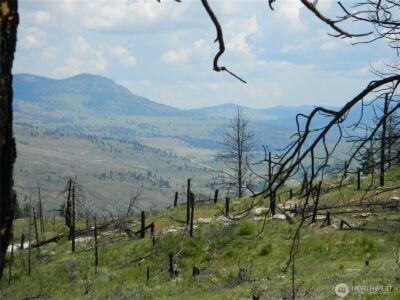 428 Five Mile Road , Tonasket, WA 98855 - Photo 6