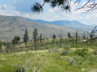 428 Five Mile Road , Tonasket, WA 98855 - Photo 8