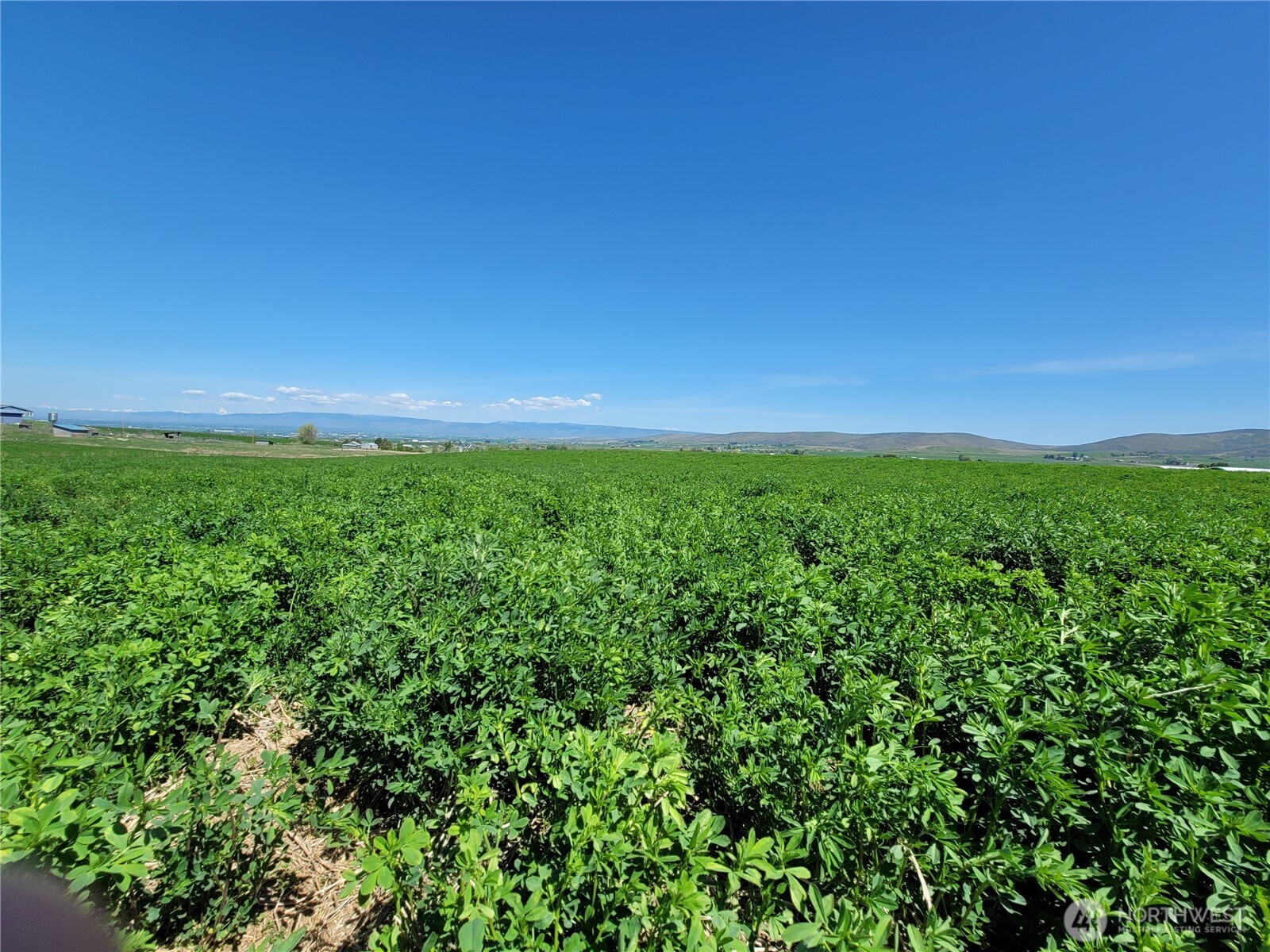 1636 Katen Road , Ellensburg, WA 98926