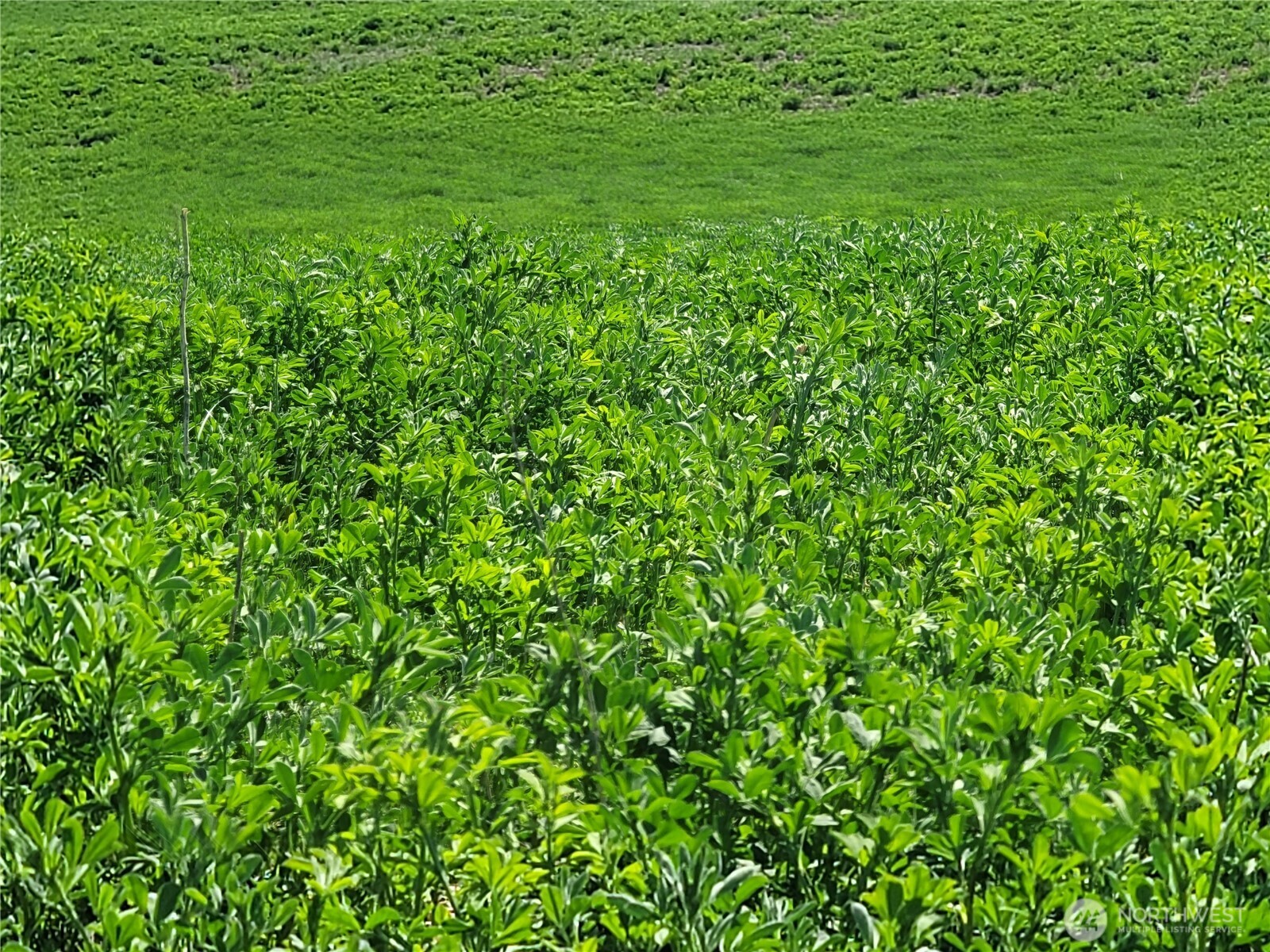 1612 Katen Road , Ellensburg, WA 98926