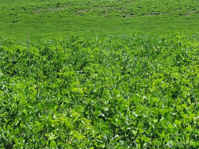 1612 Katen Road , Ellensburg, WA 98926 - Photo 3