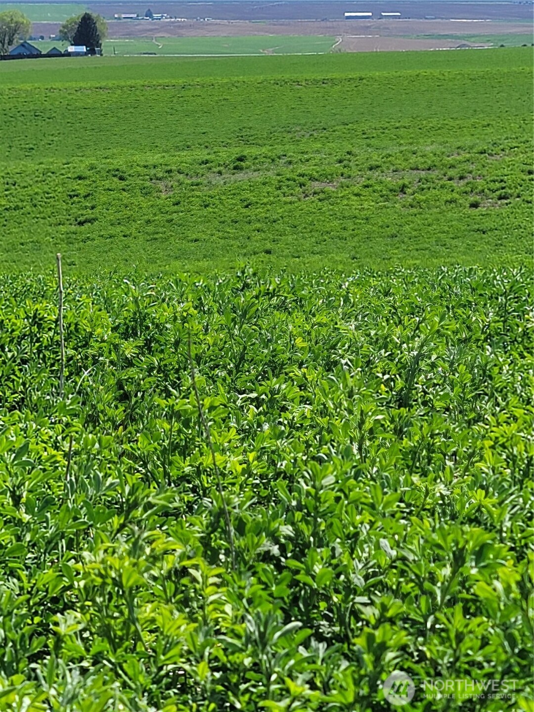 1612 Katen Road , Ellensburg, WA 98926