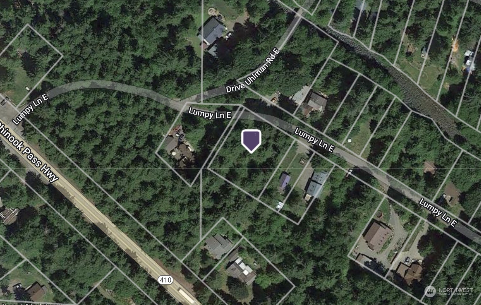 58610 Lumpy Lane E, Greenwater, WA 98022