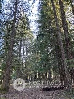 58610 Lumpy Lane E, Greenwater, WA 98022 - Photo 2