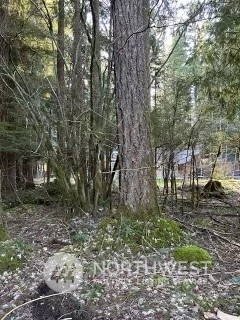 58610 Lumpy Lane E, Greenwater, WA 98022