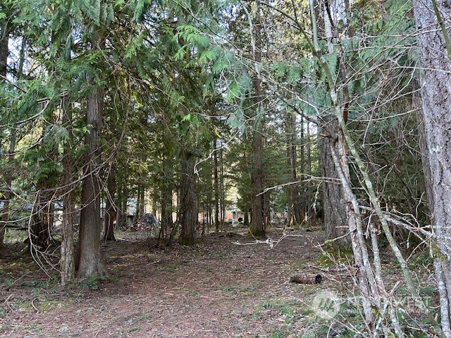 58610 Lumpy Lane E, Greenwater, WA 98022