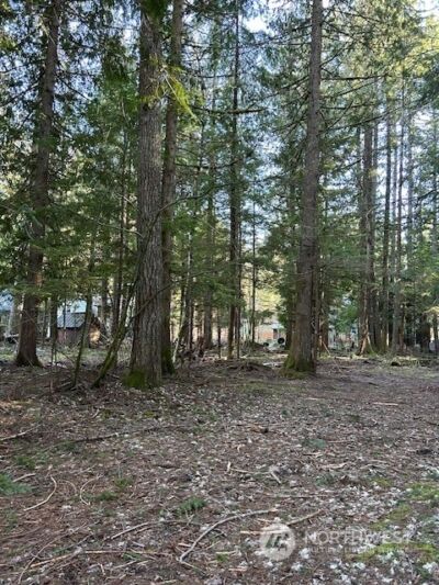 58610 Lumpy Lane E, Greenwater, WA 98022 - Photo 5