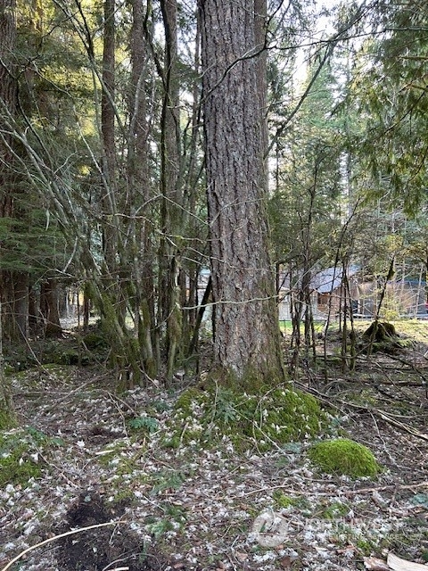 58610 Lumpy Lane E, Greenwater, WA 98022