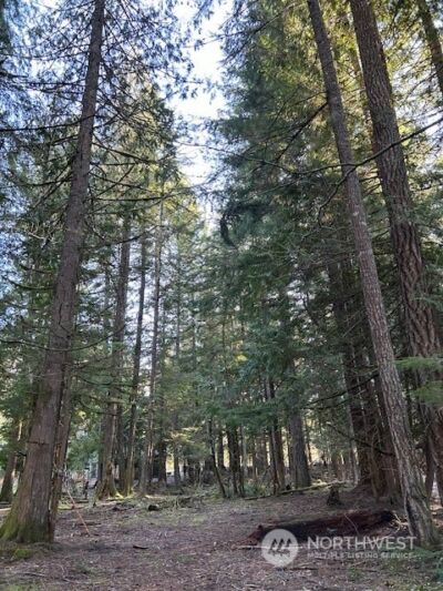 58610 Lumpy Lane E, Greenwater, WA 98022 - Photo 7