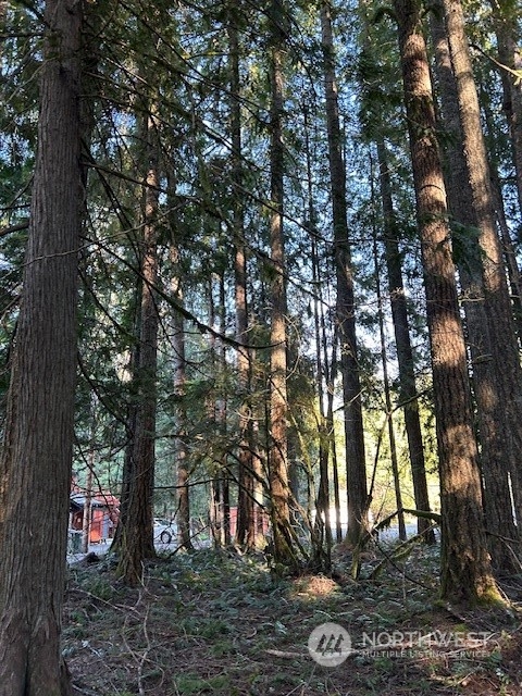 58610 Lumpy Lane E, Greenwater, WA 98022