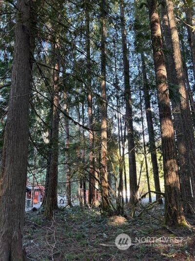 58610 Lumpy Lane E, Greenwater, WA 98022 - Photo 8