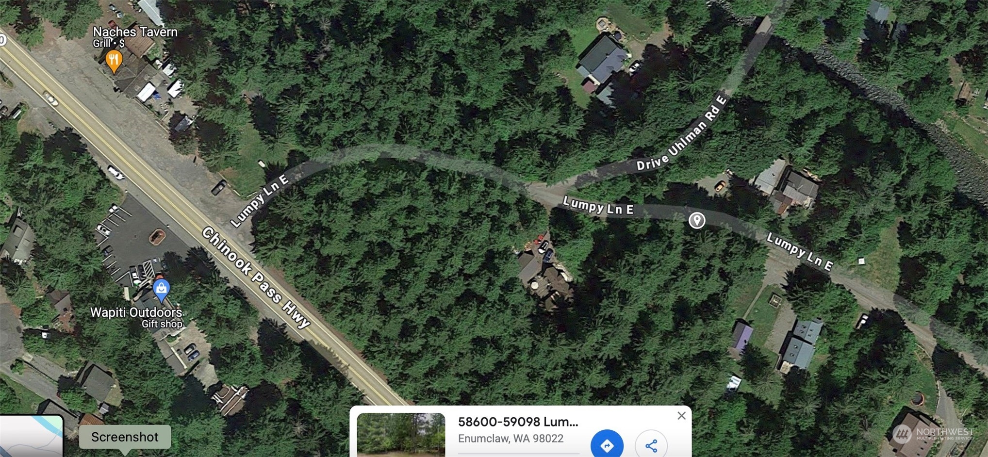 58610 Lumpy Lane E, Greenwater, WA 98022