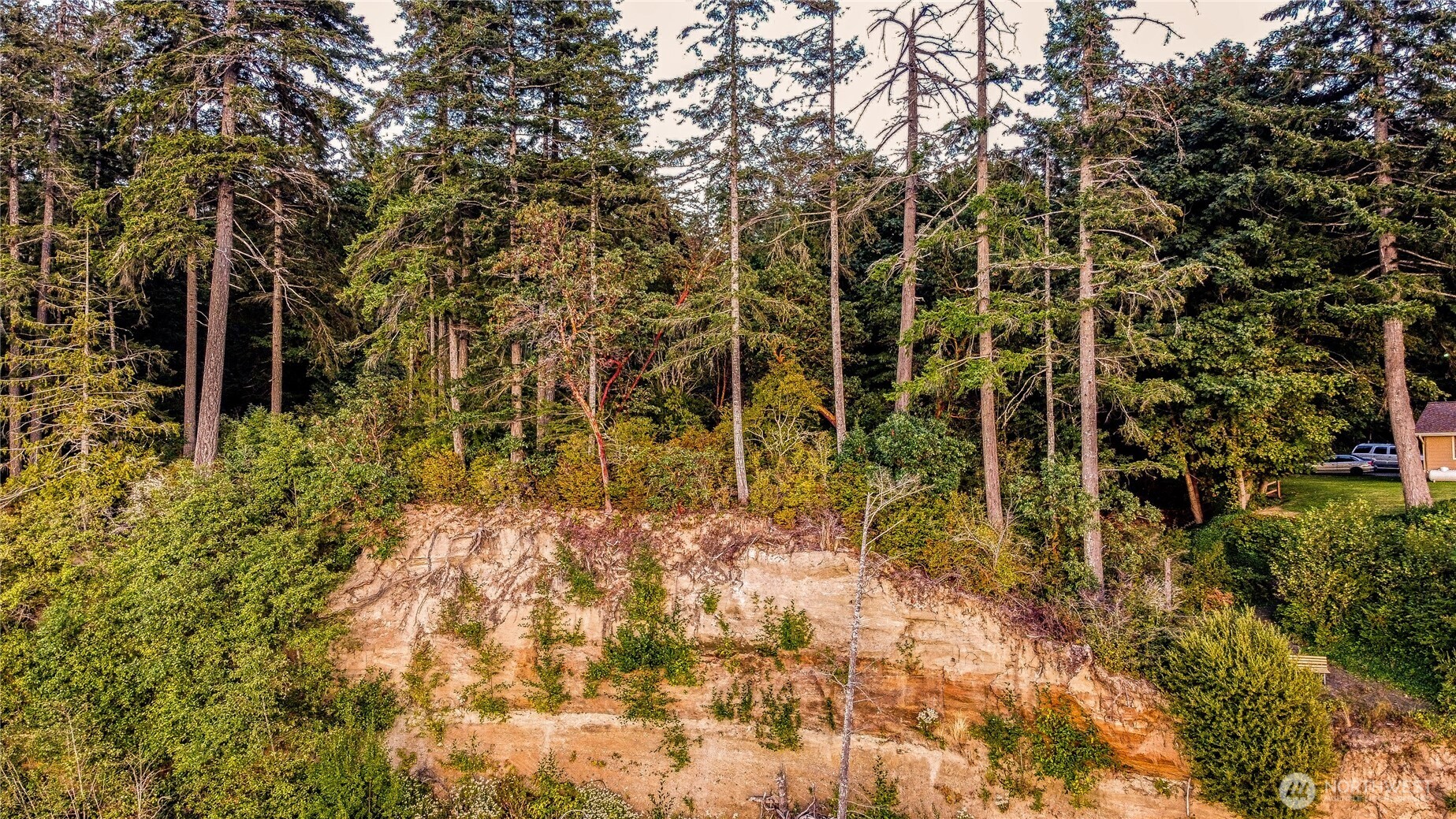 6117 Elizan Drive NW, Olympia, WA 98502