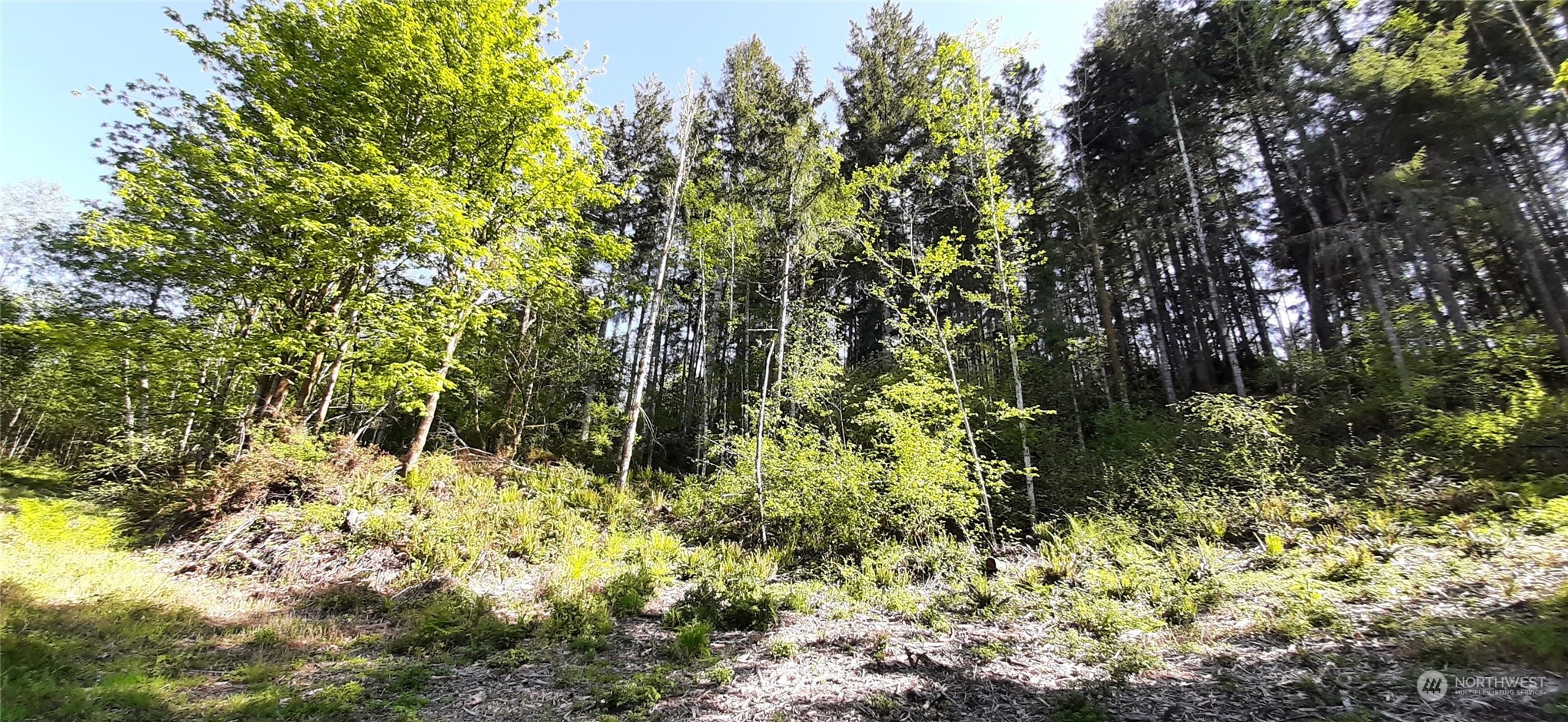 301 NE WJ Way , Belfair, WA 98528