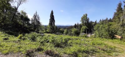 301 NE WJ Way , Belfair, WA 98528 - Photo 4