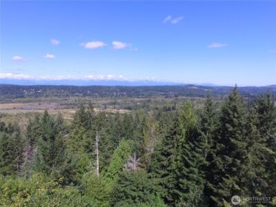 301 NE WJ Way , Belfair, WA 98528 - Photo 8