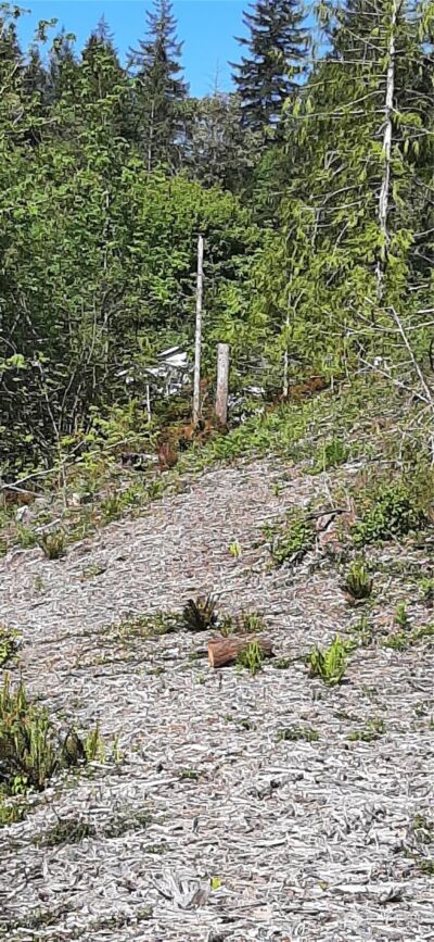 261 NE WJ Way , Belfair, WA 98528 - Photo 2