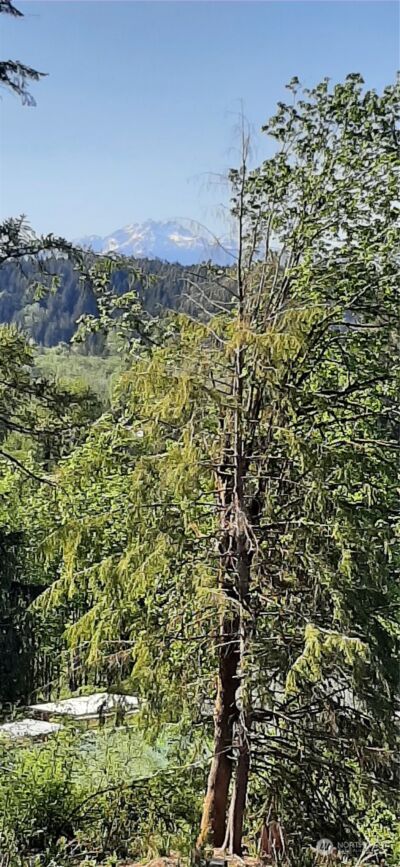 261 NE WJ Way , Belfair, WA 98528 - Photo 3