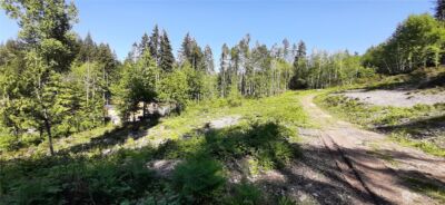 261 NE WJ Way , Belfair, WA 98528 - Photo 4