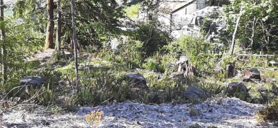 221 NE WJ Way , Belfair, WA 98528