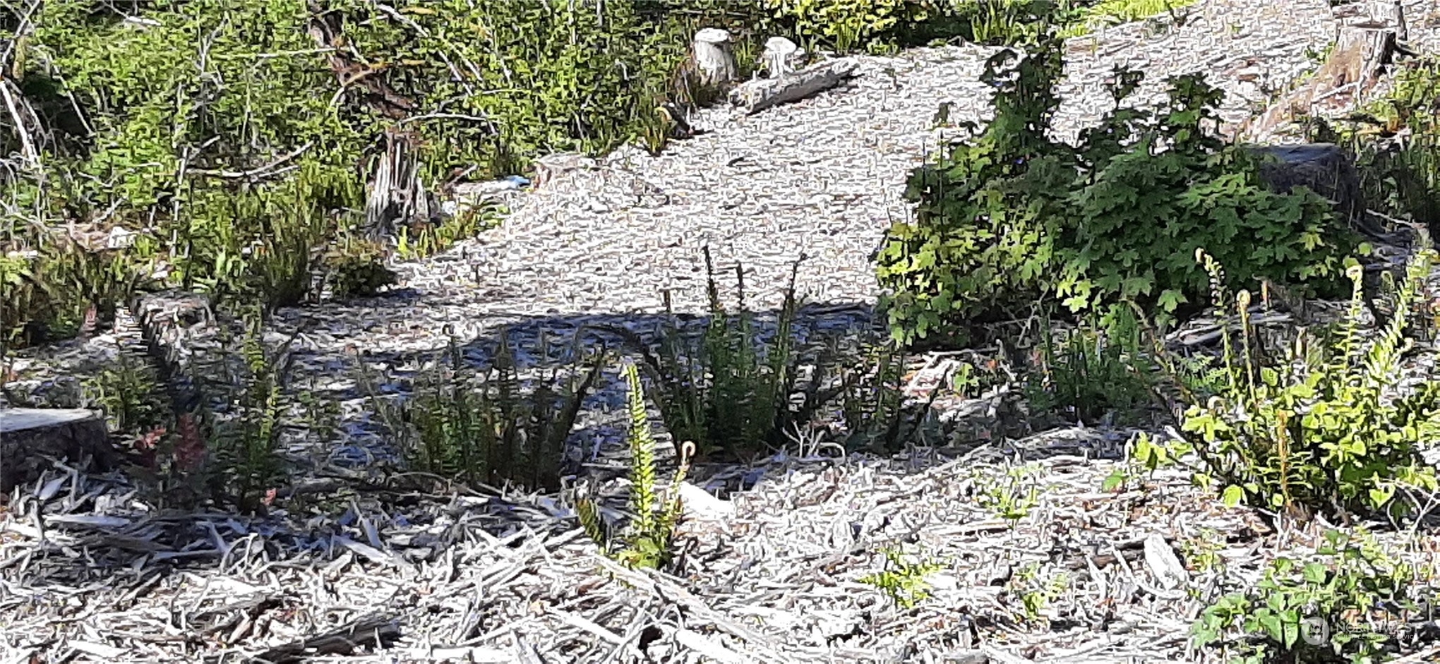 221 NE WJ Way , Belfair, WA 98528