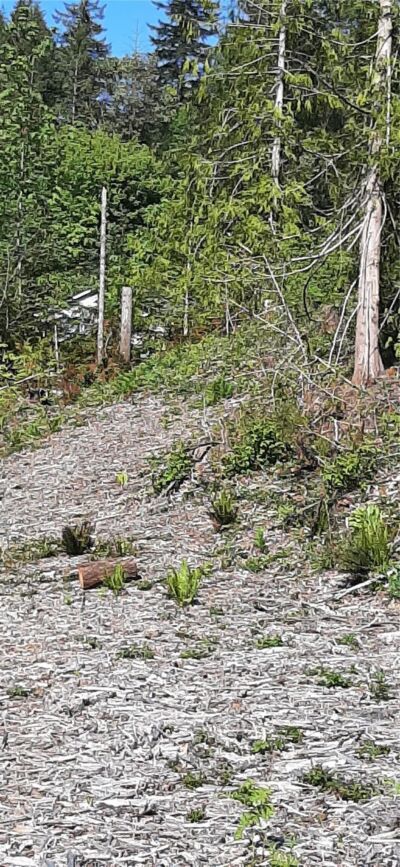 221 NE WJ Way , Belfair, WA 98528 - Photo 3