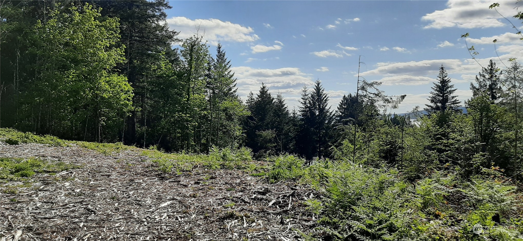 200 NE WJ Way , Belfair, WA 98528