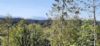 200 NE WJ Way , Belfair, WA 98528 - Photo 4