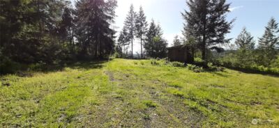 200 NE WJ Way , Belfair, WA 98528 - Photo 5