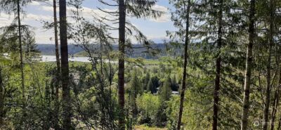 200 NE WJ Way , Belfair, WA 98528 - Photo 6