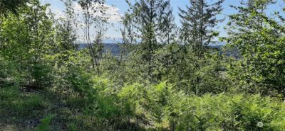 200 NE WJ Way , Belfair, WA 98528 - Photo 8