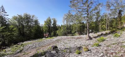 131 NE WJ Way , Belfair, WA 98528