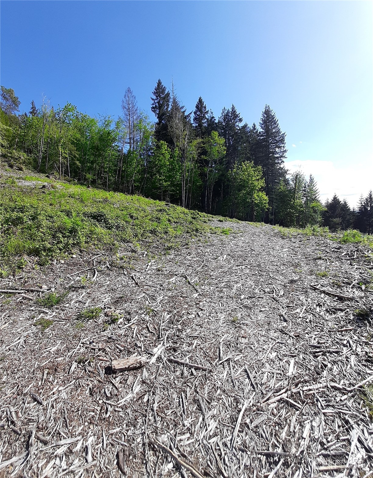 131 NE WJ Way , Belfair, WA 98528