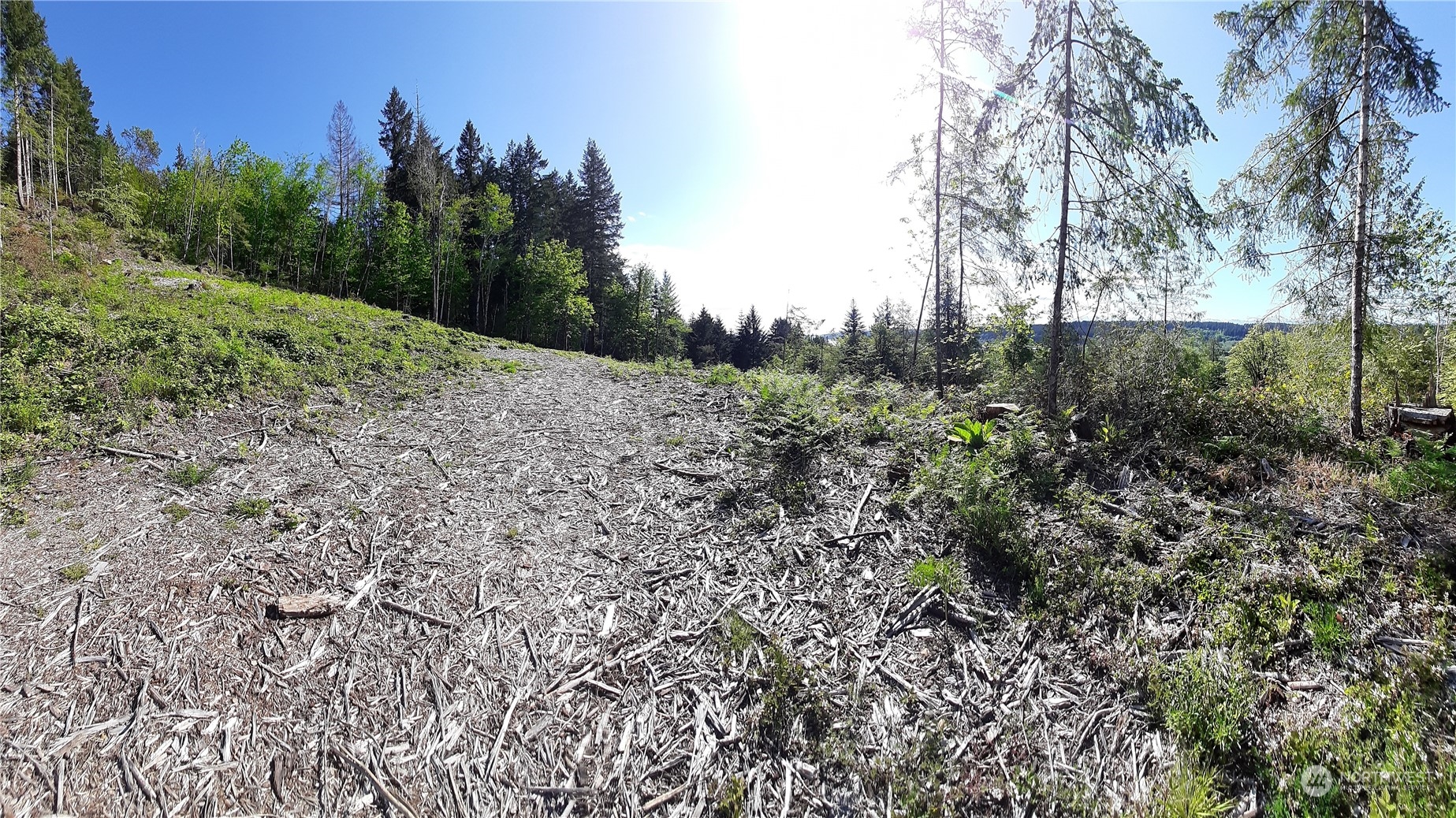 101 NE WJ Way , Belfair, WA 98528