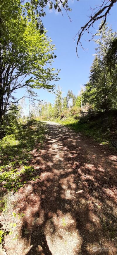 101 NE WJ Way , Belfair, WA 98528 - Photo 2